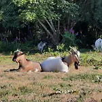 Σπίτι διακοπών La Boutardiere *