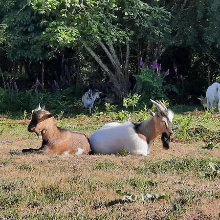 Semesterbostad La Boutardiere *
