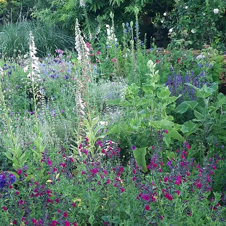 La Boutardiere Semesterbostad Saint-Aubin-le-Cloud